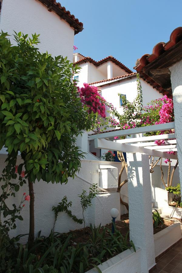 Hotel Elena Syvota ภายนอก รูปภาพ