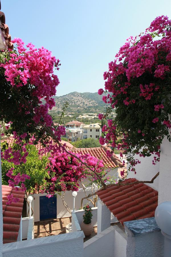 Hotel Elena Syvota ภายนอก รูปภาพ